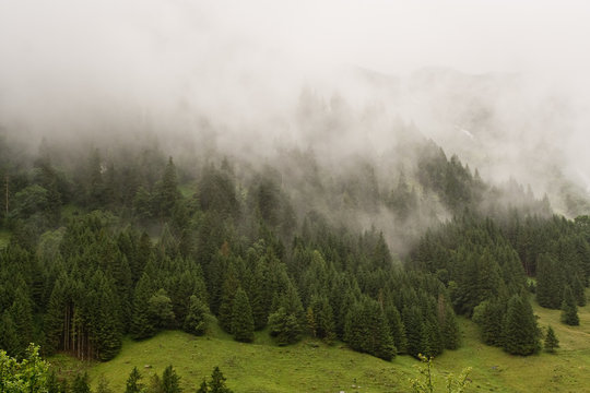 Fototapeta Misty, Foggy Mountain Forest, Austria