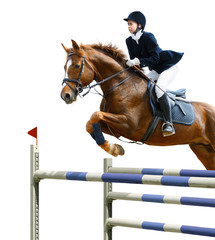 Equestrian jumper