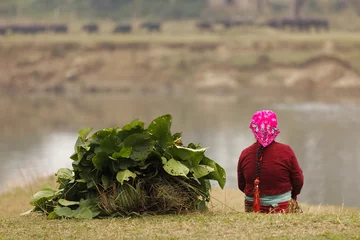 Deurstickers Nepal vrouw boer zitten, Chitwan, Nepal