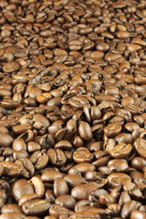 chicchi di caffè verticale