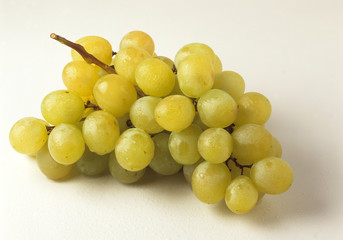 Grappe raisin blanc