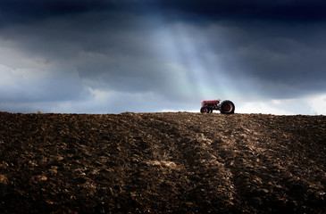 traktor rolniczy na polu uprawnym - obrazy, fototapety, plakaty