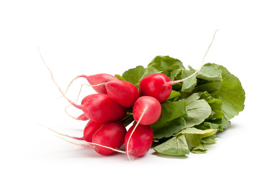 radish with green leaves on a white background