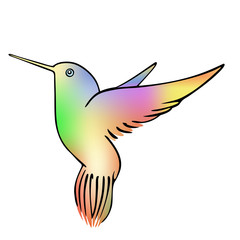 hummingbird - vector