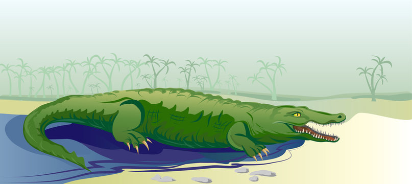crocodile on tropical background