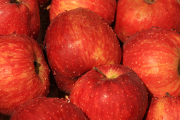 mele rosse