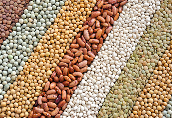 Mixture of dried lentils, peas, soybeans, beans  - background © brozova