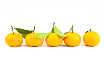 single row of orange