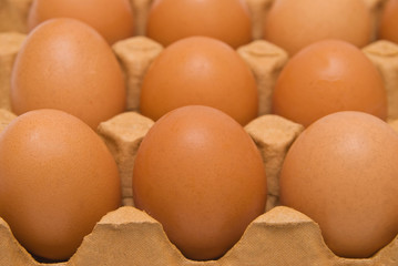 Eggs