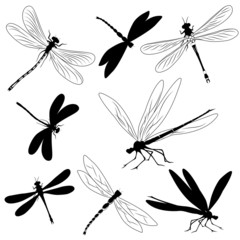 Set of silhouettes of dragonflies, tattoo - obrazy, fototapety, plakaty
