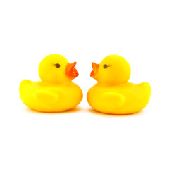 rubber duck