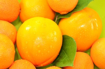 Orange,Mandarinen,Kaki