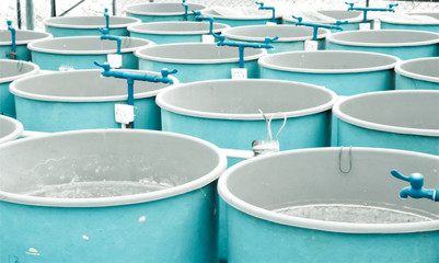 Agriculture aquaculture farm