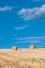 Hay bales in early morning