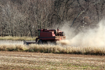 Fototapeta premium Farm combine tractor