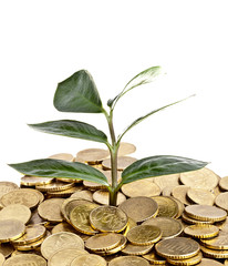 Money Concept