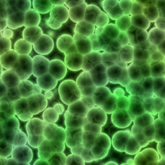 Bacteria background