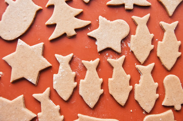 Xmas gingerbread cookies