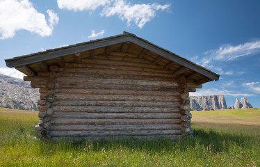 mountain cabin with plenty room for your text/adverstising/poste