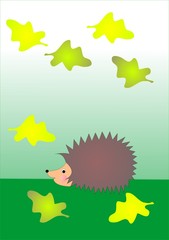 hedgehog and leaves, vector illustration