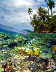 Surface and underwater view with colorful coral reef fish, coconut trees and cloudy sky, Caribbean sea