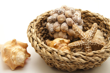 Korb mit Standmuscheln