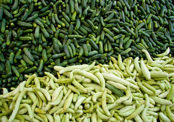 Fresh Organic Cucumber/ Gherkins At A Street Market In Istanbul,