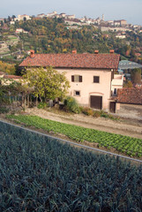Fototapeta na wymiar Pola z Bergamo Alta na sfonfo
