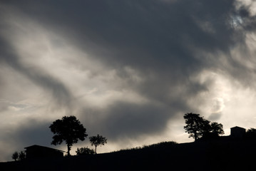 colline marchigiane al tramonto