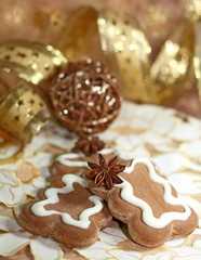 gingerbreads with spices