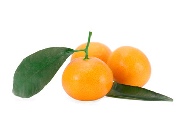 Tangerine fruits with green leaves on white background
