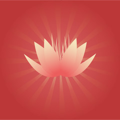 Lotus flower on red background with radial beams