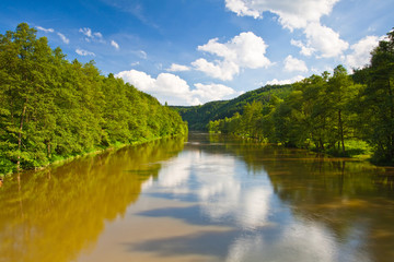 Reflection on the river in summer