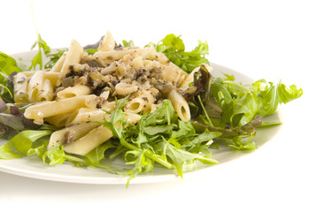 penne paste in creamy mushroom, garlic and onion sauce