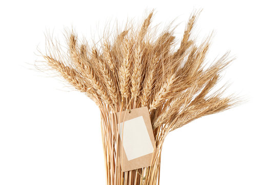 sheaf of wheat with a price tag on a white background