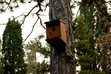 Birdhouse