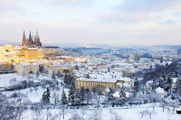 First Snow in Prague, gothic Castle with snowy Trees