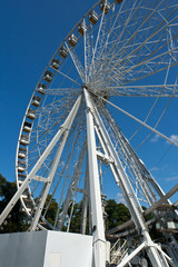 The Windsor Eye