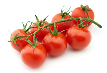 Branch tomatos