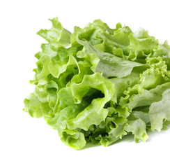 Lettuce