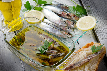 sardines under oil-sardine sotto olio