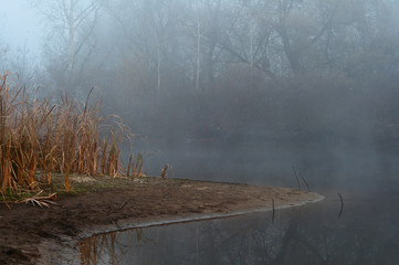 foggy river