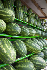 watermelons