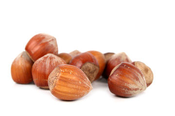haselnüsse
