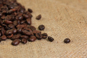 Coffee beans detail