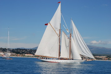 Fototapeta premium Classic wood yacht sailing 