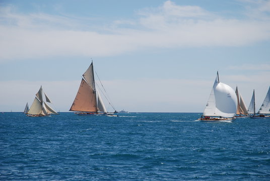 classic wood yacht sailing regatta