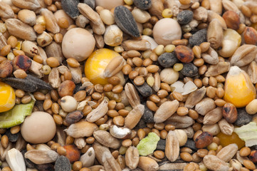 Grains