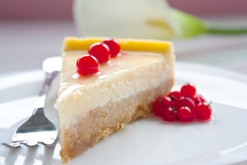 Cheese cake with red currant