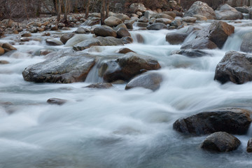 Rivi&egrave;re dans la Restonica en Corse